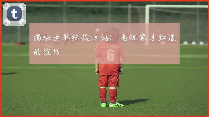 揭秘世界杯投注站：老玩家才知道的技巧